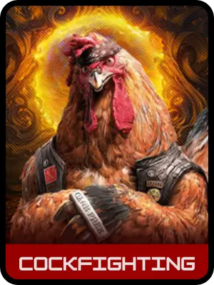 JLJL4 27 Cockfighting